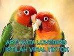 Arti-kata-Lovebird-yang-sering-muncul-di-caption.jpg