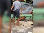 Beredar-di-media-sosial-Instagram-aksi-seorang-pria-paruh-baya-mendorong-seorang-lurah.jpg