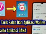 Cara-Tarik-Saldo-Dari-Aplikasi-Wallive-Ke-Saldo-Aplikasi-DANA.jpg