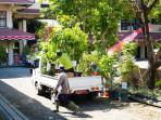 DLH-memindahkan-bibit-pohon-Klaten.jpg