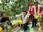 Hamenang-dan-Benny-panen-melon.jpg