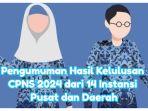 Hasil-pengumuman-CPNS-dari-14-instansi-pusat-dan-daerah.jpg