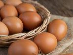 Ilustrasi-telur-ayam.jpg