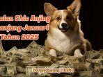 Inilah-ramalan-shio-anjing-sepanjang-bulan-Januari-Tahun-2025.jpg