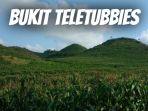 Keindangan-Bukit-Teletubbies-Yang-Viral-lokasi-di-Dusun-Candi-Desa-Giring-v.jpg