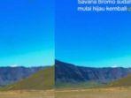 Media-sosial-dihebohkan-dengan-video-kawasan-Gunung-Bromo-kembali-menghijau.jpg