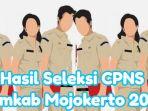 Pengumuman-hasil-seleksi-CPNS-Pemerintah-Kabupaten-Pemkab-Mojokerto-2024.jpg