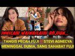 Stevie-Agnecya-tutup-usia.jpg