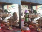 Sukarti-tinggal-di-kolong-jembatan-selama-40-tahun-hidup-tanpa-listrik.jpg