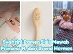 Syahrini Pamer Sisir Princess R, Ternyata Keluaran Hermes, Harganya Fantastis, Bahan Rambut Kambing
