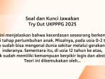 JAWABAN Teori Ini Menjelaskan Bahwa Kecerdasan Seseorang Berkembang Sesuai Tahap, Try Out UKPPPG