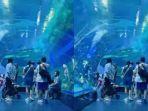 WISATA-TANGERANG-BXSea-menjadi-oceanarium-yang-baru-dibuka.jpg