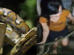 angelina-berhasil-evakuasi-ular-piton-dengan-tangan-hampa.jpg