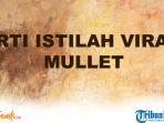arti-istilah-viral-mullet.jpg