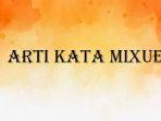 arti-kata-mixue-2.jpg