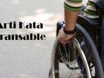 arti-kata-transable.jpg