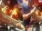 firman-temukan-ular-di-mesin-mobil-yang-lama-tak-terpakai.jpg