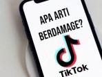 inilah-arti-dari-istilah-berdamage-sering-seliweran-di-tiktok.jpg