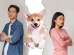 pasangan-bercerai-rebutan-hak-asuh-anjing.jpg