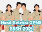 pengumuman-hasil-seleksi-CPNS-Badan-Siber-dan-Sandi-Negara-BSSN-2024.jpg