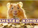 sandi-harian-daily-cipher-Hamster-Kombat-hari-ini-Rabu-14-Agustus-2024.jpg