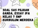 sas-ipa.jpg