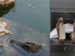 seorang-pekerja-perusahaan-sawit-meninggal-di-dalam-kanal-setelah-diseret-buaya-sepanjang-4-meter.jpg