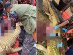 tubuh-seorang-nelayan-ditemukan-di-dalam-perut-buaya.jpg