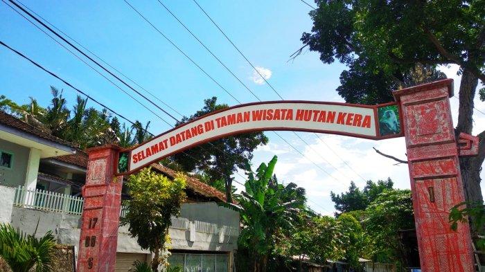 Taman Wisata Hutan Kera saat dikunjungi pada Jumat, 7 Januari 2022. Taman Wisata Hutan Kera, menjadi satu di antara rekomendasi tempat rekreasi di tengah Kota Bandar Lampung.