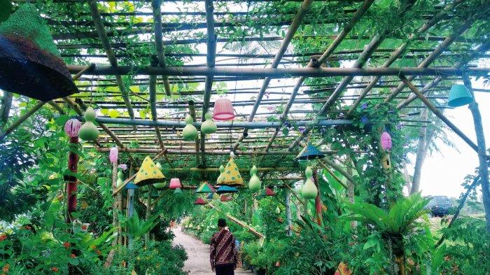 Suasana di Eco Taman Sari, Pringsewu, Lampung saat dikunjungi pada Senin, 27 Desember 2021. Satu di antara tempat wisata murah yang ada di Pringsewu, Lampung, yakni Eco Taman Sari.