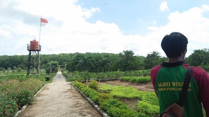 PKK Agropark Lampung merupakan tempat wisata bernuansa taman.