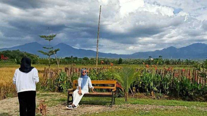 Pemandangan Gunung Pesawaran dan Gunung Betung.