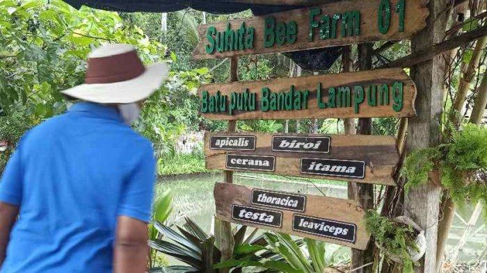 Suasana di Suhita Bee Farm.