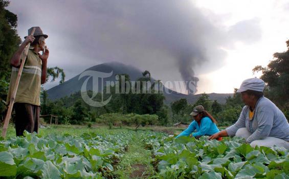 Pendataan Digelar di Kawasan Aman 3 Km Gunung Lokon
