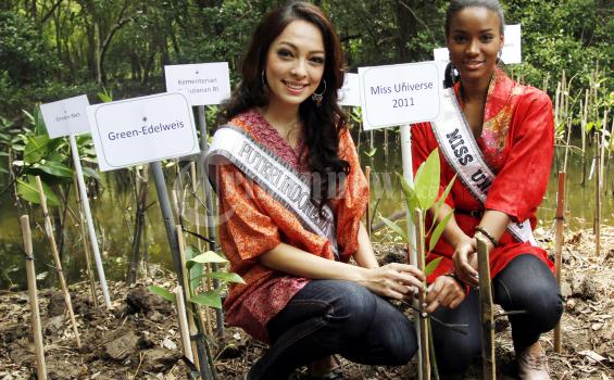 BNI habiskan Rp 2,853 miliar untuk Tanam 1.298.183 Pohon