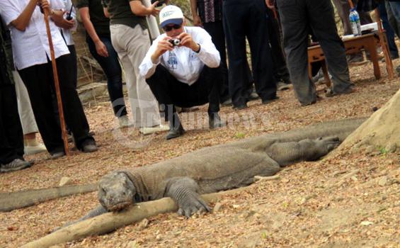 Cuaca Buruk Pelayaran ke Pulau Komodo Sementara Ditutup
