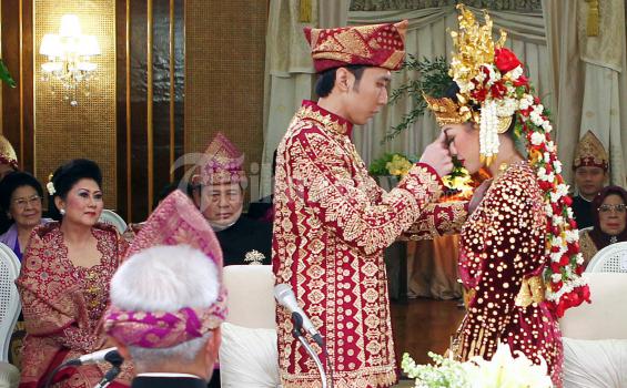 Ibas-Aliya Didampingi SBY dan Hatta Rajasa