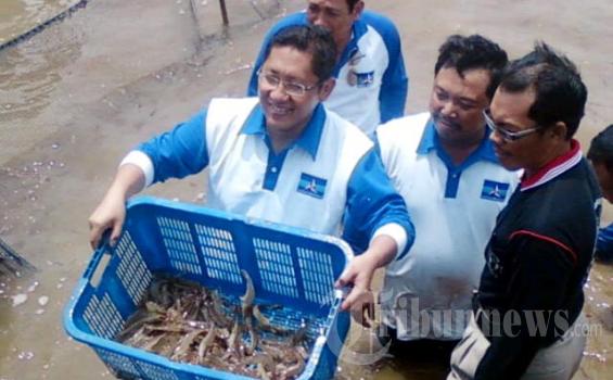 Anas: Saya Yakin Tak Jadi Tersangka