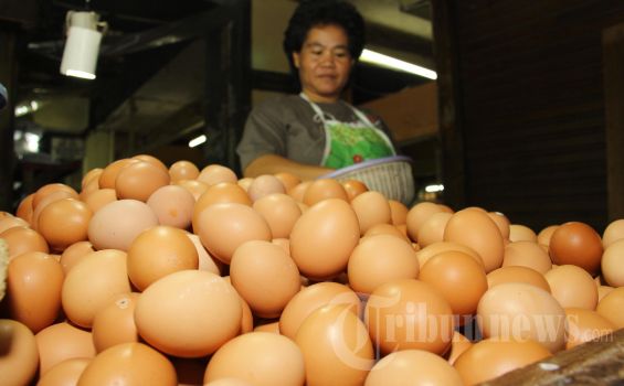 Jelang Imlek Harga Telur Naik Rp 5.000 Sekilo