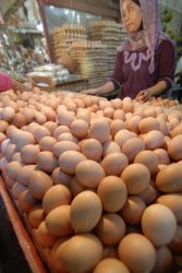 Harga Telur Ayam di Jember Masih Melambung Tinggi