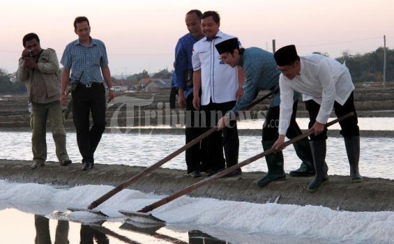 LPPNU Desak Pemerintah Tuntaskan Persoalan Garam