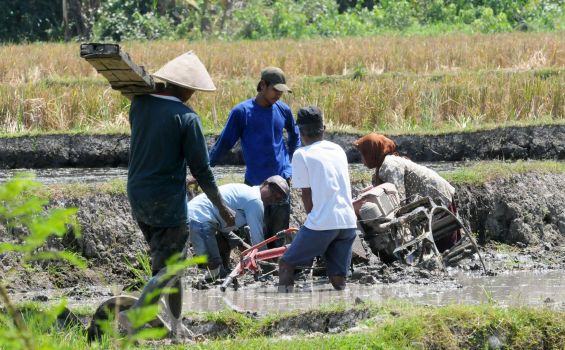 Pengertian Gotong Royong Beserta Manfaat dalam Kehidupan Sehari-hari