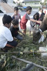 Pemkot Bandung Gelontorkan Rp 1,9 M untuk Hewan Kurban