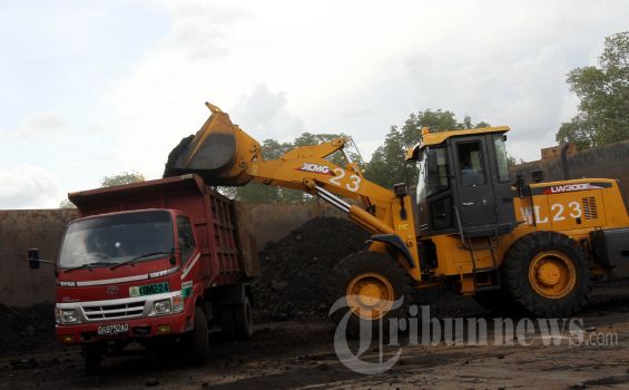 Ini Sebaran Wilayah Perusahaan Minerba yang Dicabut Izin Usahanya oleh Jokowi