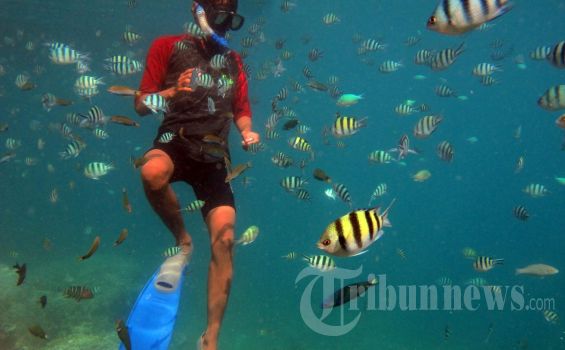 Cuaca Buruk, Ratusan Wisatawan Terjebak di Pulau Karimunjawa