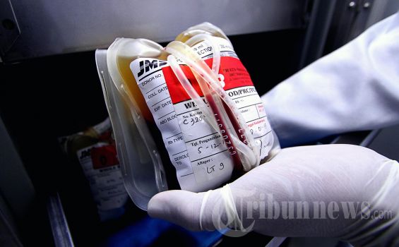 Mengetahui Golongan Darah Banyak Manfaatnya