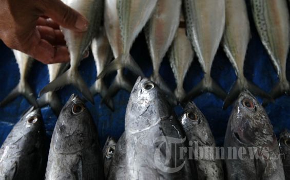 Sejak Awal Tahun Harga Ikan di Balikpapan Naik 100 Persen