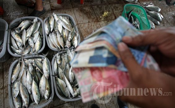 Kenaikan Harga Ikan Membawa Berkah Nelayan Tradisional