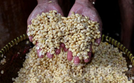 Harga Tahu Tempe Naik 100 Persen, Kopti: Pedagang Lagi Mumpung