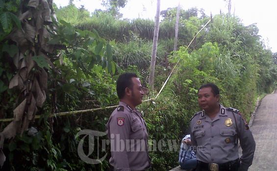 Empat Hari Sebelum Terbongkar Tanaman Khat Baru Dipanen